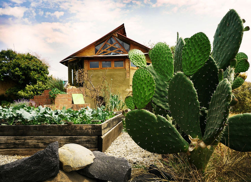 Transformando comunidades a través de la sustentabilidad: Casita de Barro